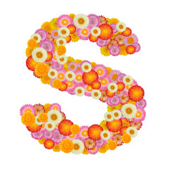 Letter S alphabet with straw flower isolated on white background