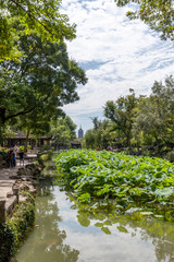 Fototapeta na wymiar Park in Suzhou
