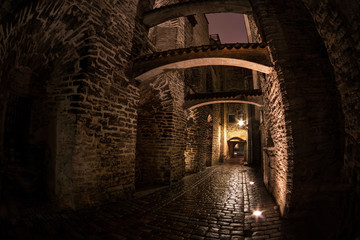 Fototapeta premium Katariina kaik (St. Catherine's Passage) - half-hidden walkway in old town of Tallinn, Estonia