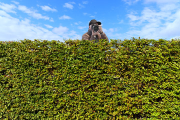 Paparazzi hinter der Hecke