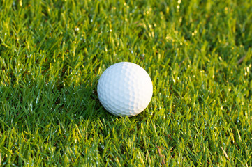 Golf ball on the green
