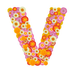 Letter V alphabet with straw flower isolated on white background