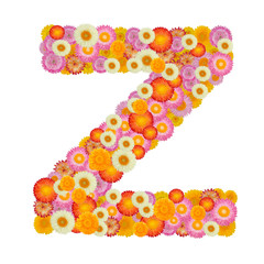 Letter Z alphabet with straw flower isolated on white background