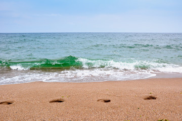 Footsteps on the beach by the sea in summer