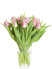 Tulpenstrauss in Glasvase isoliert auf weiss
