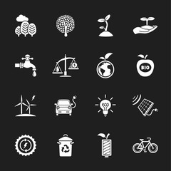 sixteen flat eco icons
