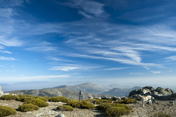 cirrus sky in Guadarrama Range