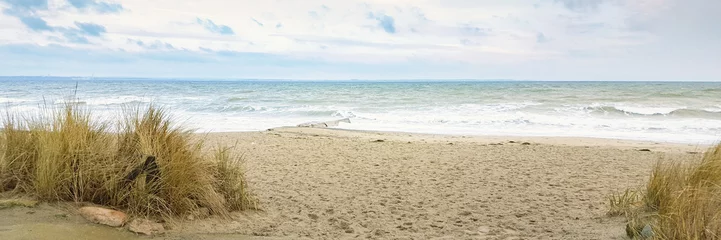 Photo sur Plexiglas Chambre à coucher Vacances à la mer - dunes et sable sur la côte allemande - Banner / Panoroma