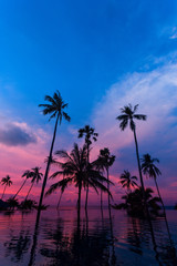 Fototapeta na wymiar Tall coconut palm trees at twilight sky reflected in water