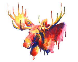 Psychedelic bright watercolor moose drawing - 104084325