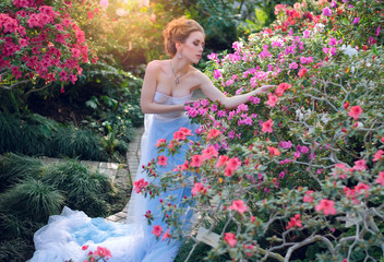 beautiful girl in a long blue dress walk in the garden among the vibrant colors