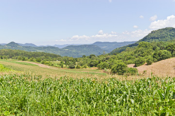 Fototapeta na wymiar Valley in Nova Petropolis - Rio Grande do Sul - Brazil