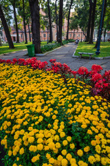 Beautiful Garden and Flowers in Ho Chi Minh City