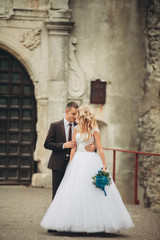 Happy wedding couple hugging and smiling each other on background old castle