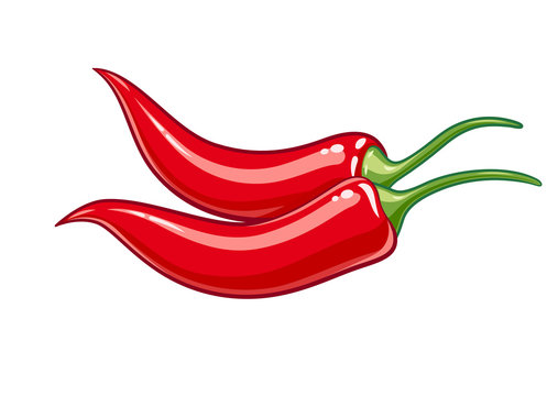 Pair red chile pepper vector illustration eps10