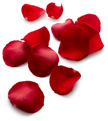 Red rose petals
