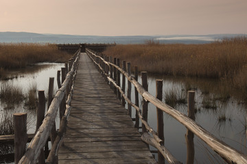 Naklejka premium Lago di Lesina - Riserva naturale - Osservatorio ornitologico