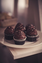 Chocolate cupcakes