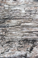 Fototapeta premium Old painted wood wall