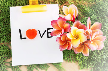 Flowers bouque with text love on green pine leaf background