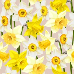Seamless white and yellow daffodils