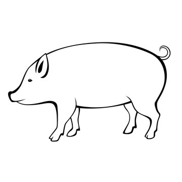 Pig black white isolated illustration vector