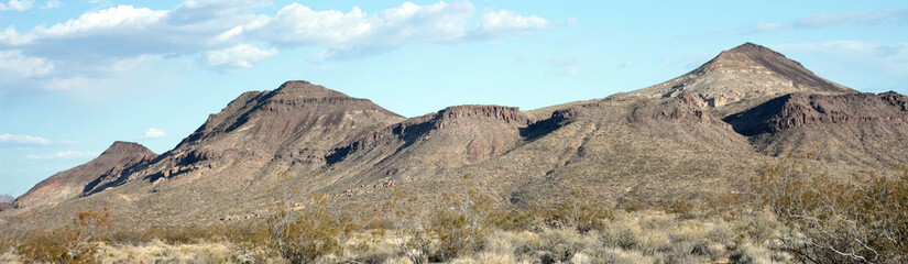 The rugged and mountainous Mojave Desert lies east of Los Angeles, California, in a dry rocky landscape where some plants and animals manage to drive.
