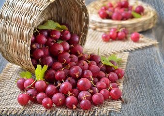 Red gooseberries in wicker basket