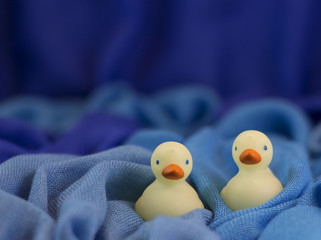 two small rubber ducks in water like blue fabric - 104093373