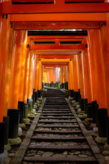 Red Torii tunnel going uphill at Fushimi Inari shrine in Kyoto, Japan.