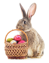 Easter Bunny with colored eggs.