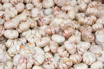 Garlic clove pile