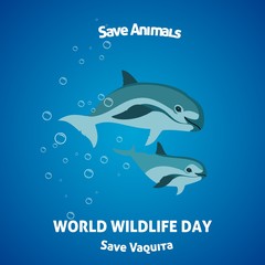 Naklejka premium Save animals vaquita world wildlife day
