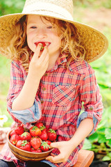 happy child girl in hat and plaid dress picking strawberries on sunny country walk in garden