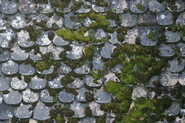 Old gray stone roof covered with moss