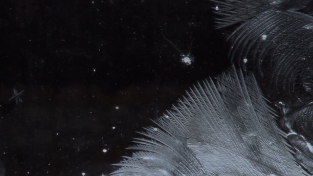  freezing winter glass