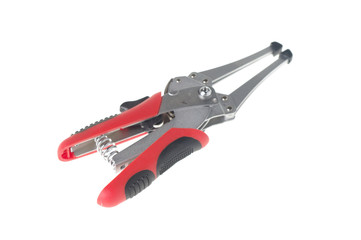 red pincer isolated on white