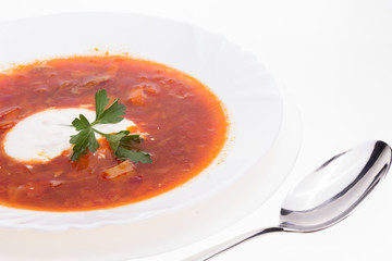 Ukrainian borsch in the plate
