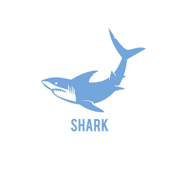 Shark - vector illustration.