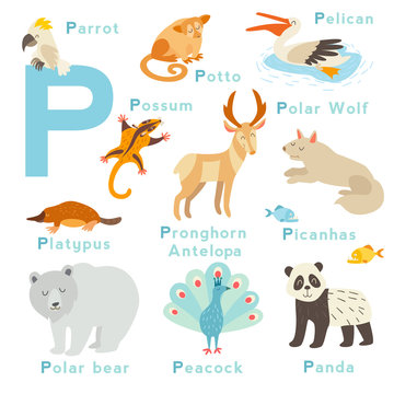 P letter animals set. English alphabet. Vector illustration, isolated on white background