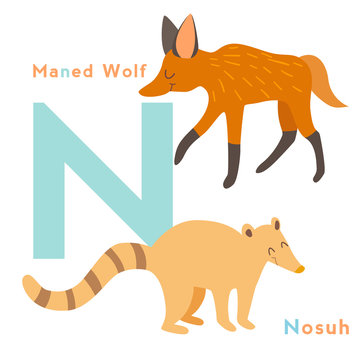 N letter animals set. English alphabet. Vector illustration, isolated on white background
