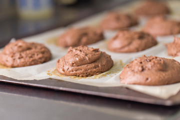 Raw chocolate cookies