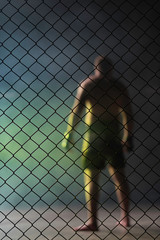 The Fighter in the ring with fence.