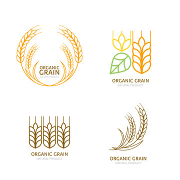 Set of organic wheat grain outline icons. Vector logo design elements. Cereals linear illustration. Concept for organic products label, harvest and farming, grain, bakery, healthy food.