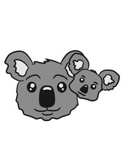 sweet little baby koala cute mamapapa child baby koala family