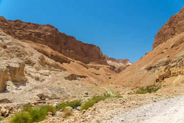 Fototapeta na wymiar Masada