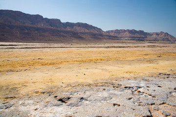 Dead Sea 