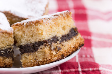 Grandmothers cake with poppy seed and shugar