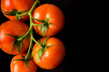 fresh tomatoes with water drops on a black background