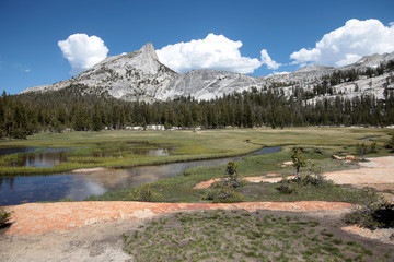 Cathedral Peak is one of many granite peaks carved by glacial activity in Yosemite National Park.